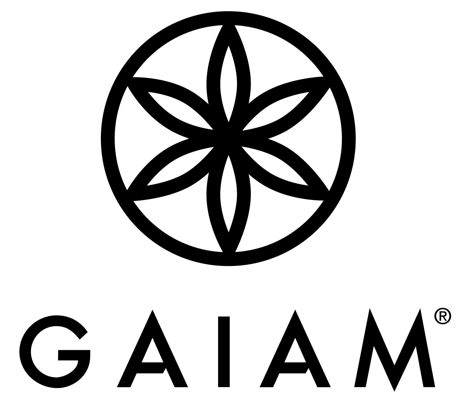 Our Story Learn About HaB Direct