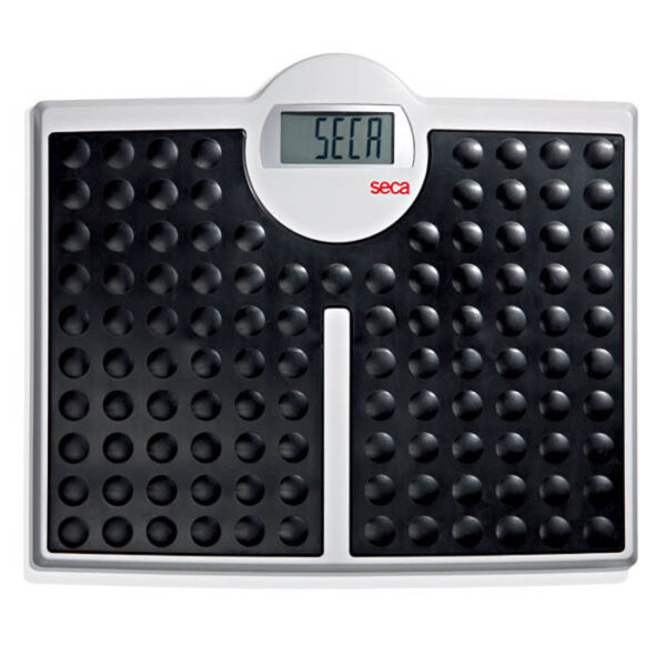 seca 813 Robusta Electronic Flat Weighing Scale