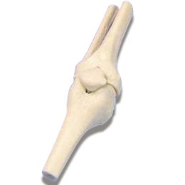 Knee - Miniature Joint