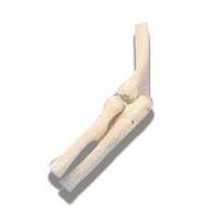 Elbow - Miniature Joint