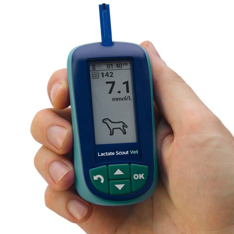 EKF Diagnostics Lactate Scout Vet