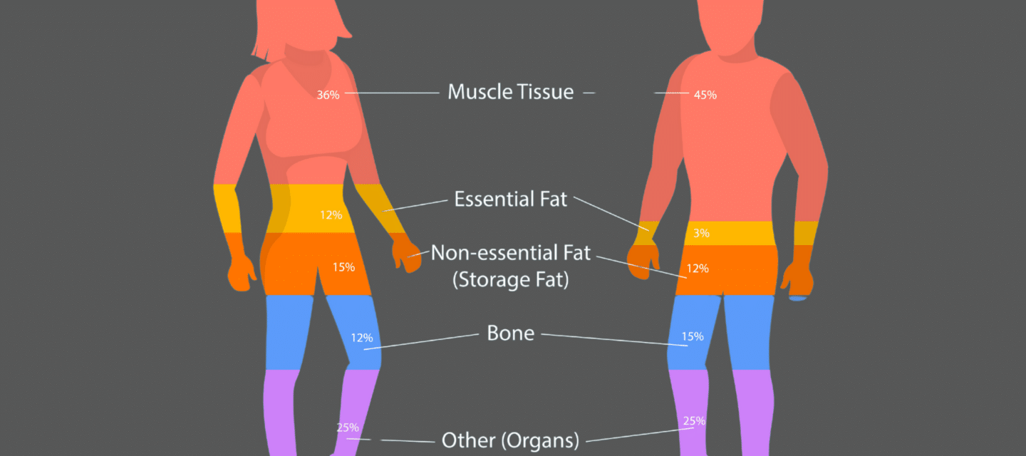 BIA lean body mass evaluation