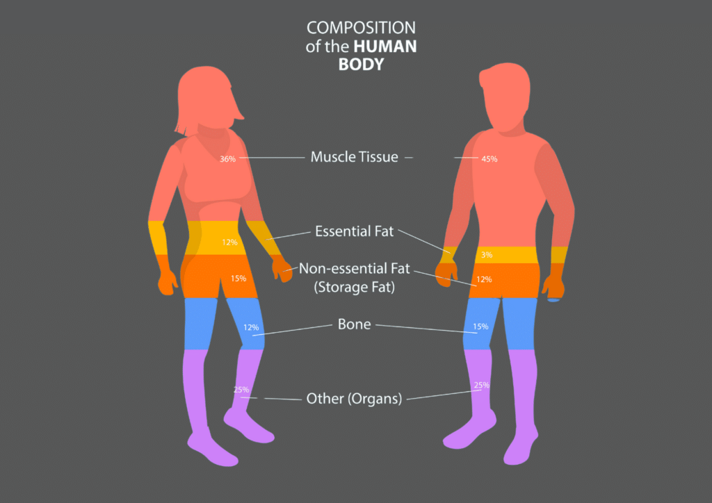 How accurate is BIA in gyms to measure body fat?