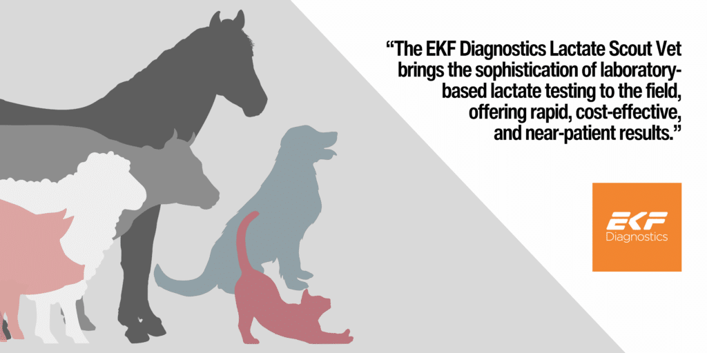 EKF Diagnostics Lactate Scout Vet is a veterinary testing device to detect lactate levels.